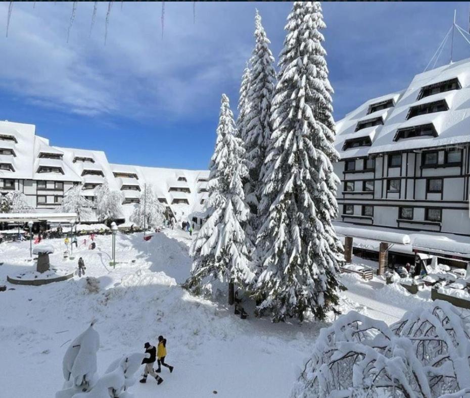 Tim 135 Konaci-Angella Centar Apartamento Kopaonik Exterior foto